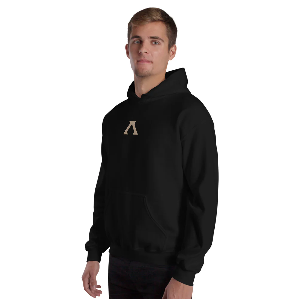 Anno 117: Pax Romana Embroidered Hoodie - Image 7