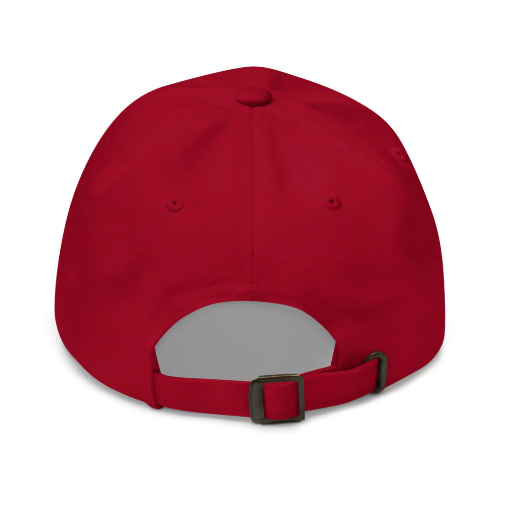Assassin's Creed Shadows Dad Hat - Image 3