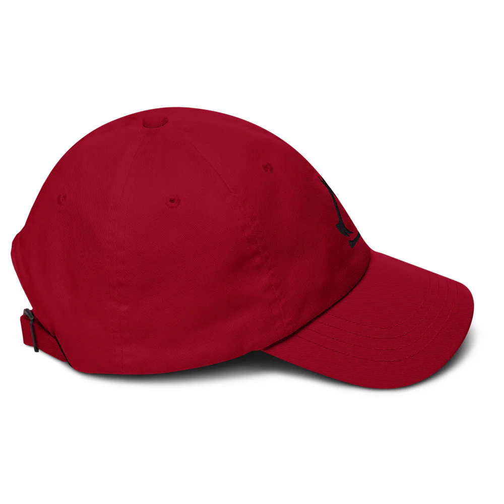 Assassin's Creed Shadows Dad Hat - Image 5
